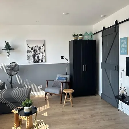 De Schelp 71, Free Parking Apartment Zandvoort Exterior photo